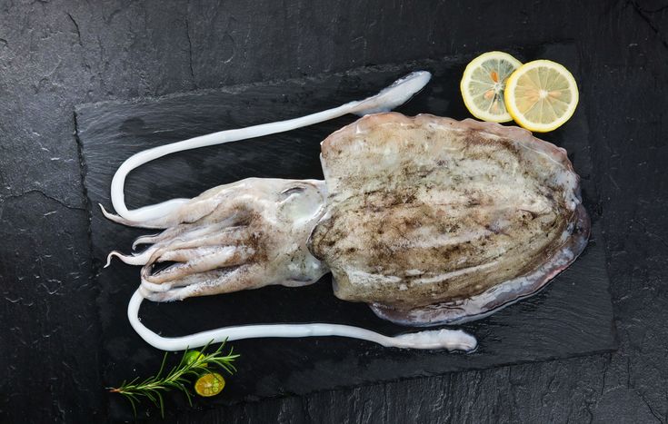 ΣΟΥΠΙΕΣ ΑΚΑΘΑΡΙΣΤΕΣ ΑΤΛΑΝΤΙΚΟΥ FAO 34 / ΟΛΛΑΝΔΙΑΣ FAO 27  (Sepia Officinalis)