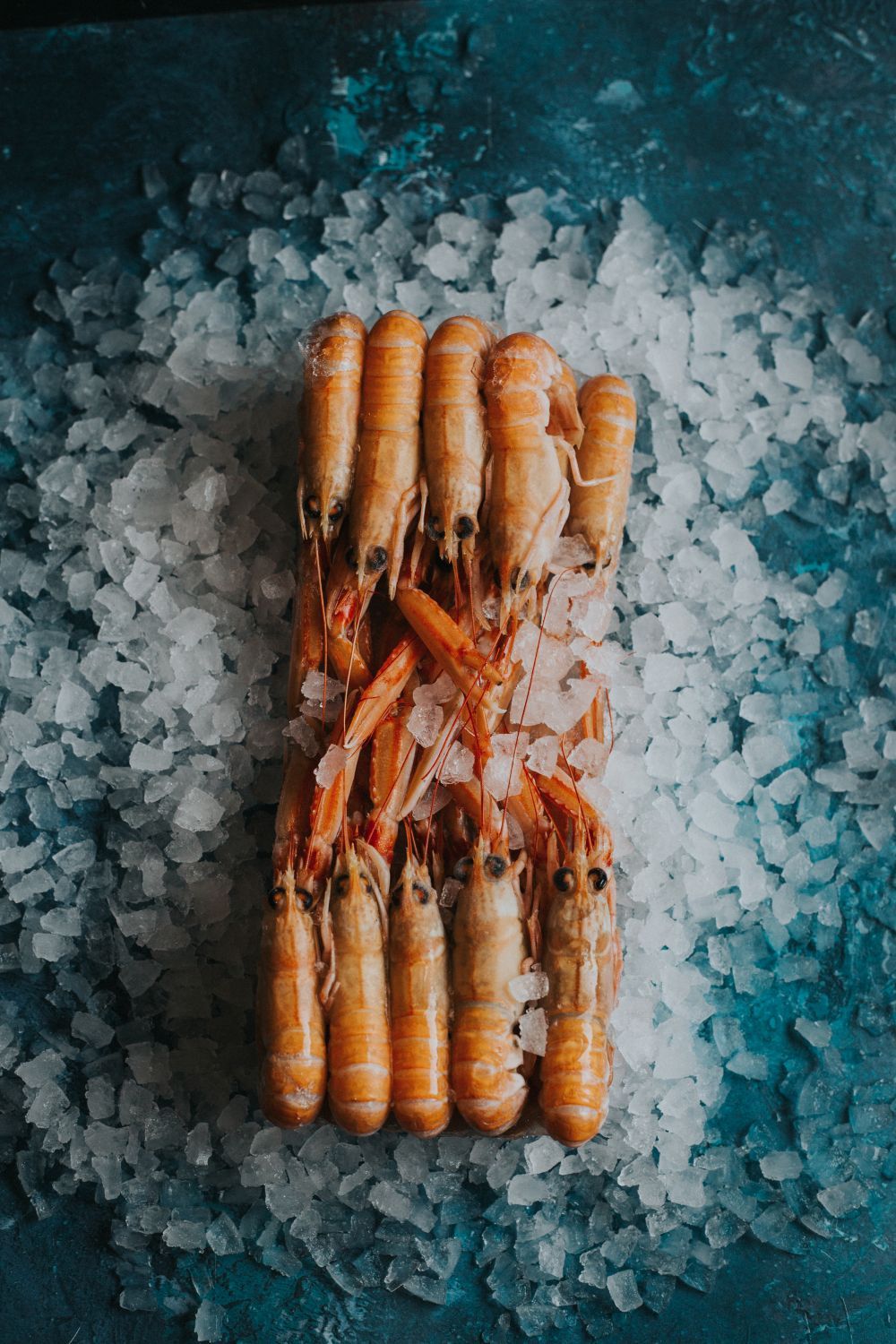 ΚΑΡΑΒΙΔΕΣ ΟΛΟΚΛΗΡΕΣ ΔΑΝΙΑΣ (Nephrops Norvegicus)
